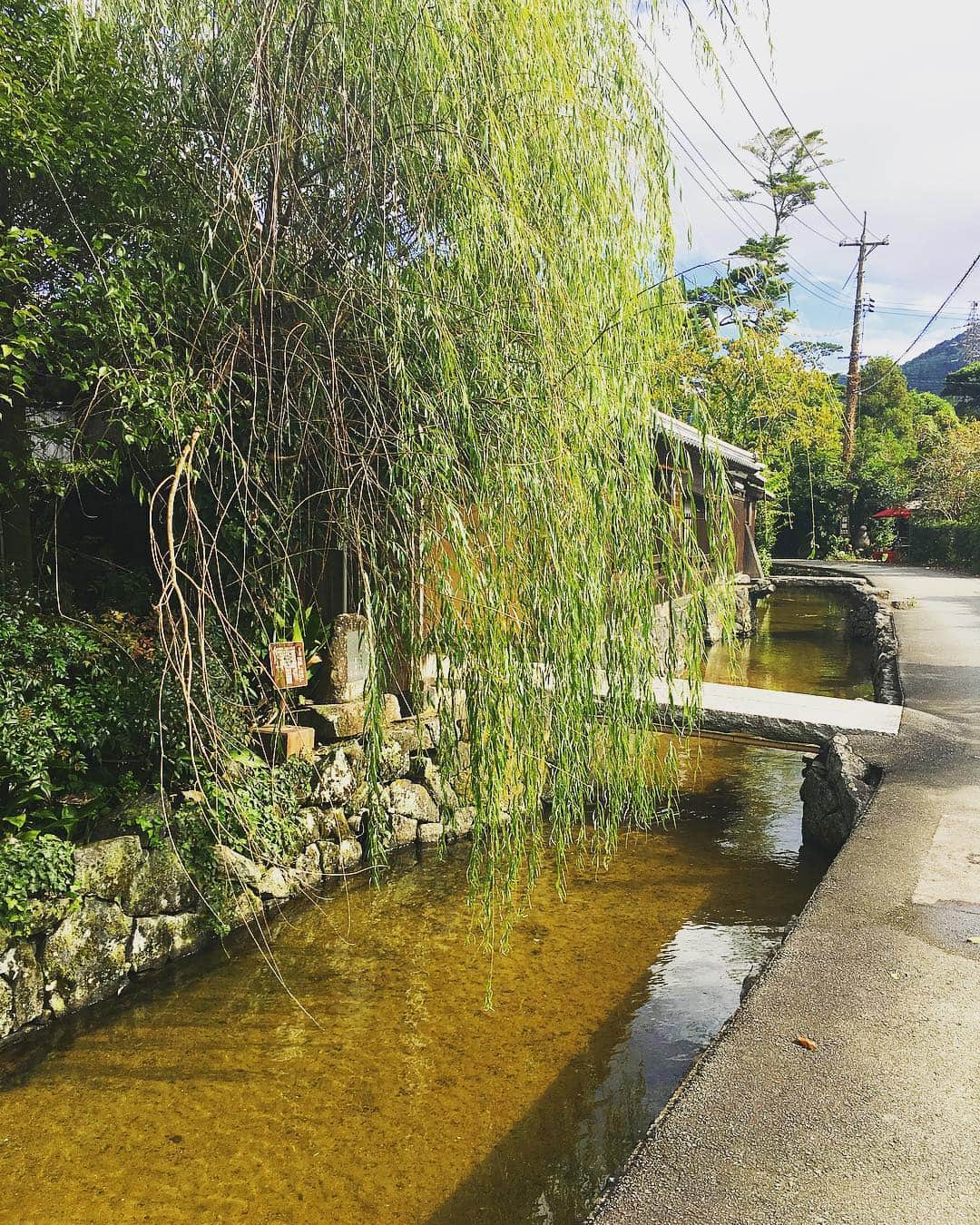 タビフク。さんのインスタグラム写真 - (タビフク。Instagram)「萩はなにか懐かしい、そしてとても心地よい美味しい空気の流れている町✨ #タビフク #TBS #山口県 #萩 #マイトリ」10月3日 22時41分 - tabifuku_tbs
