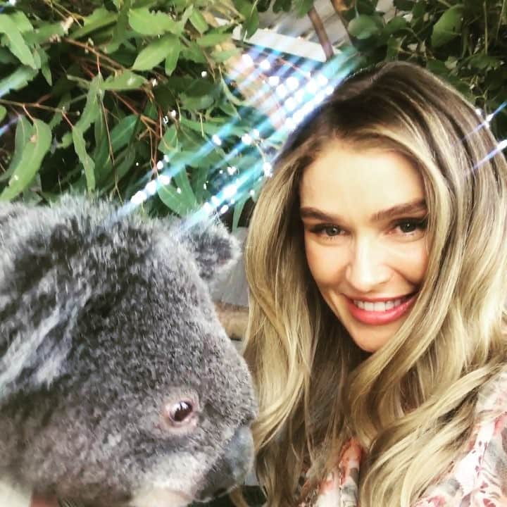 サラ・マッチのインスタグラム：「When you try to get a selfie with a koala ..😁」