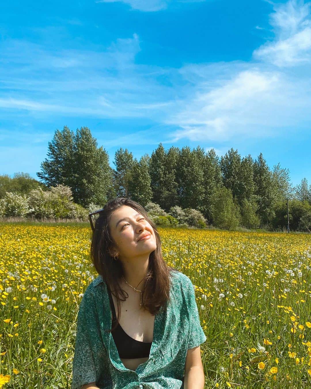 香華（KOuKA）のインスタグラム：「#cinquefoil #creepingbuttercup #themoreyouknow ☀️🌼」