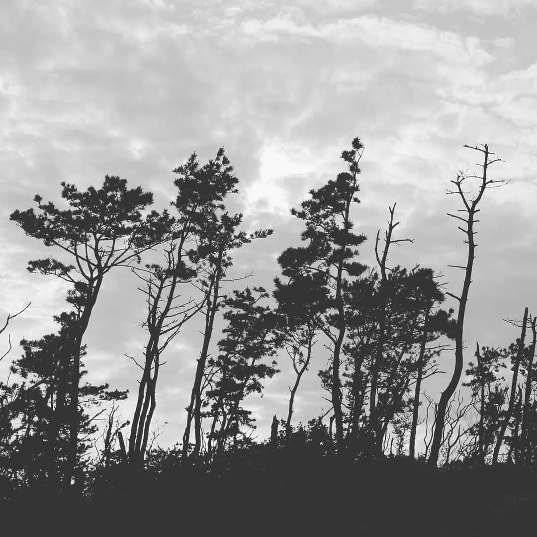 s_shoheyのインスタグラム：「. そろそろ写真撮りたいな .」
