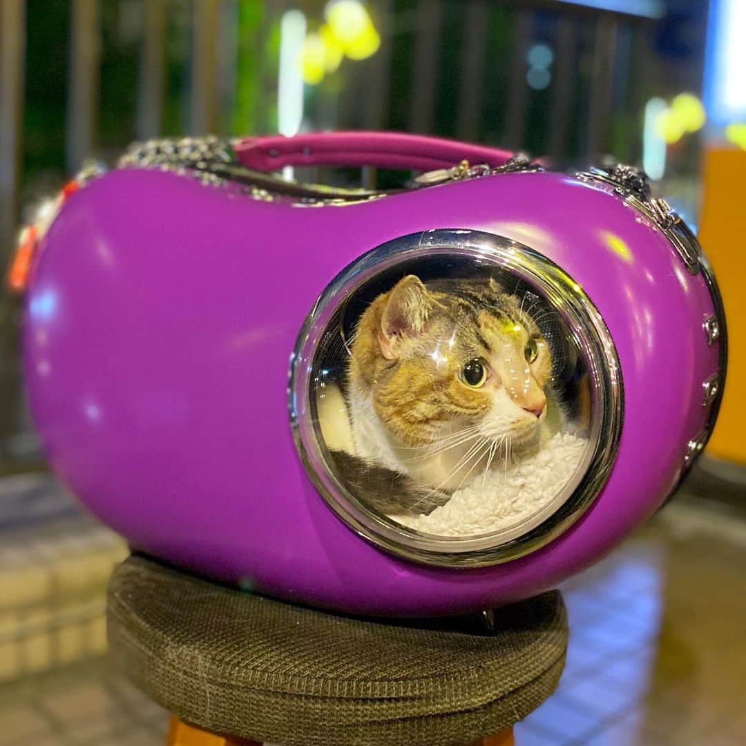 相沢あいのグルメインスタ