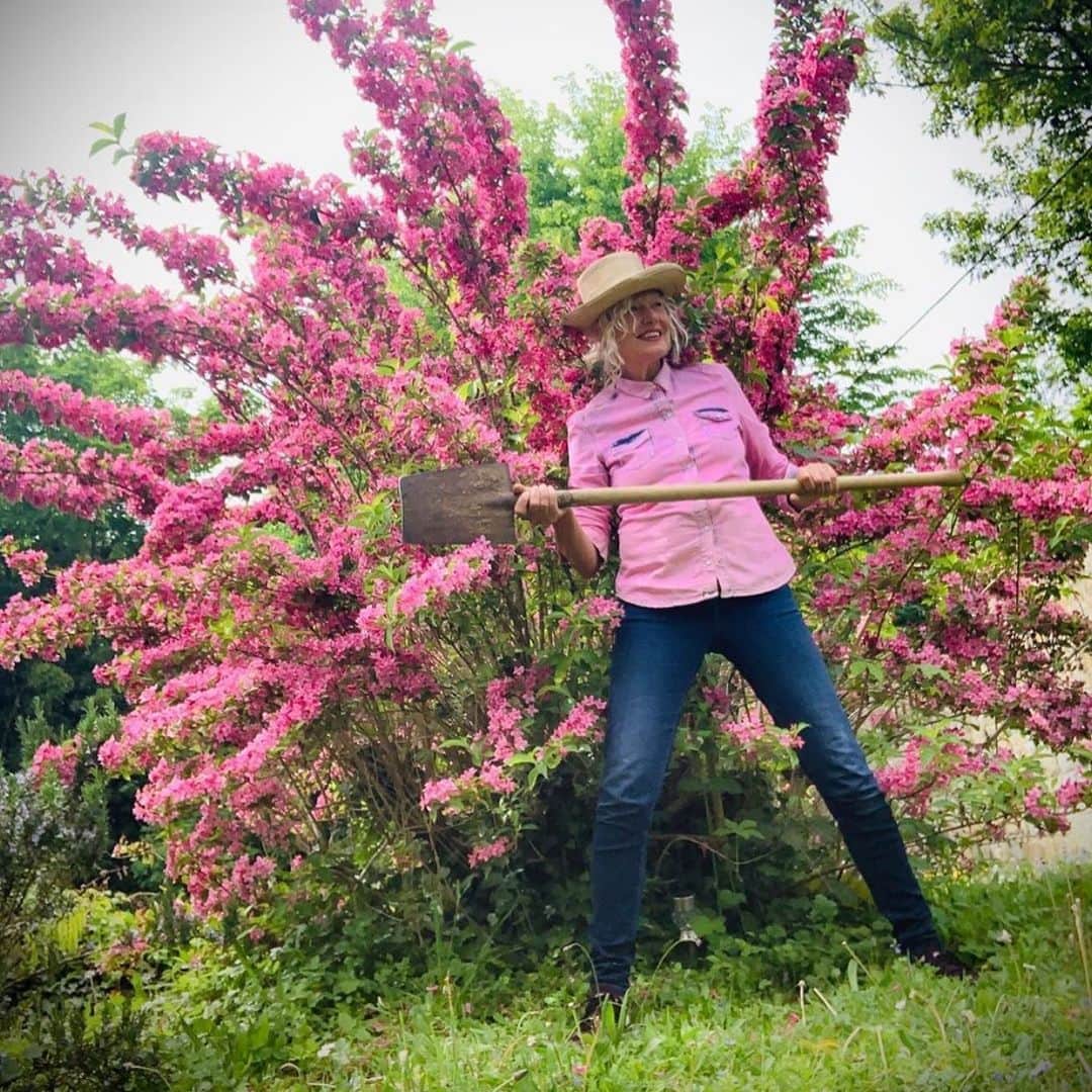 エレン・ヴォン・アンワースさんのインスタグラム写真 - (エレン・ヴォン・アンワースInstagram)「Thinking Pink! 🌸🌹🌷🌺🥀🍄 Sending ❤️ from my garden  @2bmanagement」5月9日 23時10分 - ellenvonunwerth