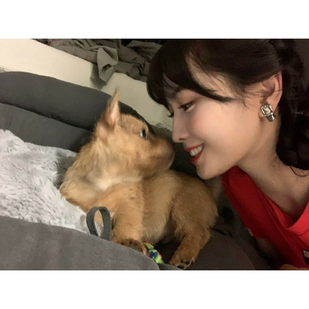 TWICEさんのインスタグラム写真 - (TWICEInstagram)「원스으으으🍑 원스들한테 할말이있어용! 제가 얼마 전부터 강아지를 키우게 됐어요!! 사실 소중한 생명이여서 공개할지 말지 많이 고민했지만 그래도 원스들한테도 자랑하고 싶고 보여주고 싶었어요!! ⠀ ⠀ 이름은... ⠀ ⠀ Boo에요..ㅎㅎㅎ 이유는 원스들이면 몬지알지 ?? 부 예쁘게 잘 키울게요🧸💜 예쁜 부 찍으면 가끔 올려도되용?」5月9日 23時11分 - twicetagram