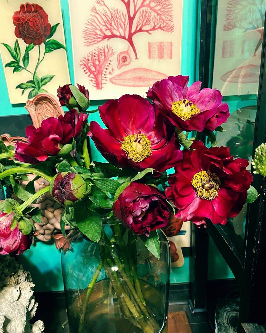 ヒグチユウコさんのインスタグラム写真 - (ヒグチユウコInstagram)「芍薬とお花。」5月9日 23時38分 - yukohiguchi3