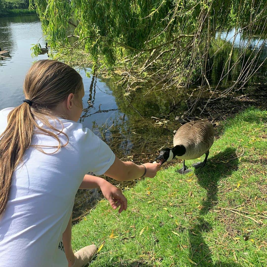 アンディ・キャロルさんのインスタグラム写真 - (アンディ・キャロルInstagram)「More Carroll Babies 🐥」5月9日 23時43分 - andytcarroll