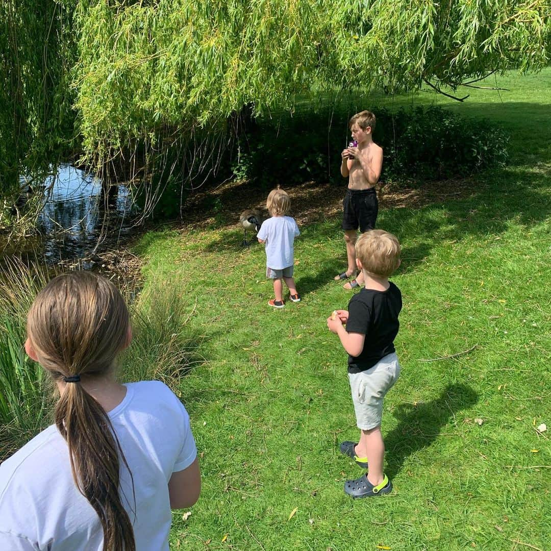 アンディ・キャロルさんのインスタグラム写真 - (アンディ・キャロルInstagram)「More Carroll Babies 🐥」5月9日 23時43分 - andytcarroll