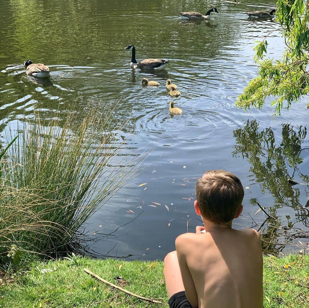 アンディ・キャロルさんのインスタグラム写真 - (アンディ・キャロルInstagram)「More Carroll Babies 🐥」5月9日 23時43分 - andytcarroll