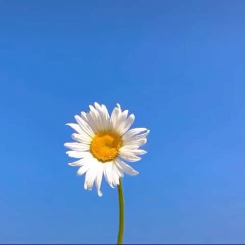 のインスタグラム：「🌥⛅️🌤☀️」