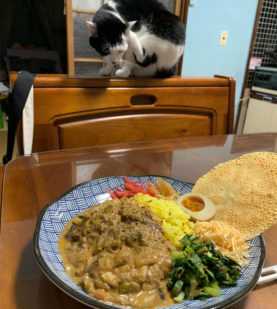 松井泉のインスタグラム：「#検察庁法改正案に抗議します ※画像は先日食べたヨメ作のカレーと耳掻き中のねこです。」