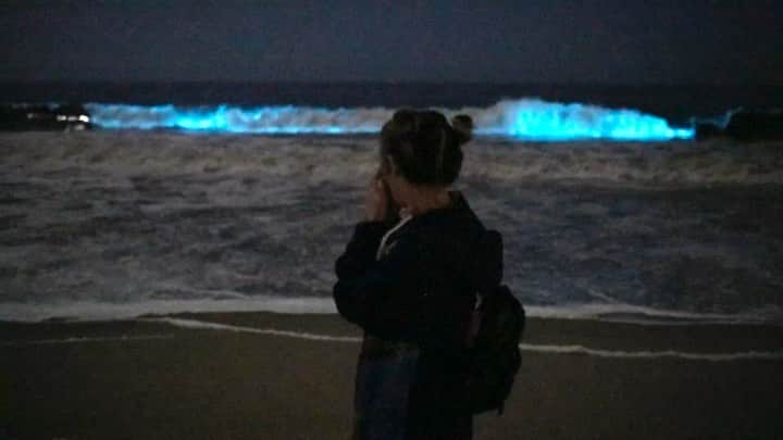 アリソン・ワンダーランドのインスタグラム：「last night I lost my mind. I saw bioluminescence in the ocean with my own eyes. Nature rules」