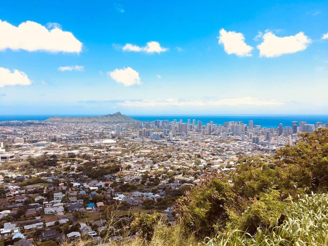 ワイキキ横丁のインスタグラム：「ホノルルのフォトジェニックな風景✨早くこの街が前みたいに賑わう日を祈って....☺️ #ハワイ生活 #ホノルル #ハワイ好きな人と繋がりたい」