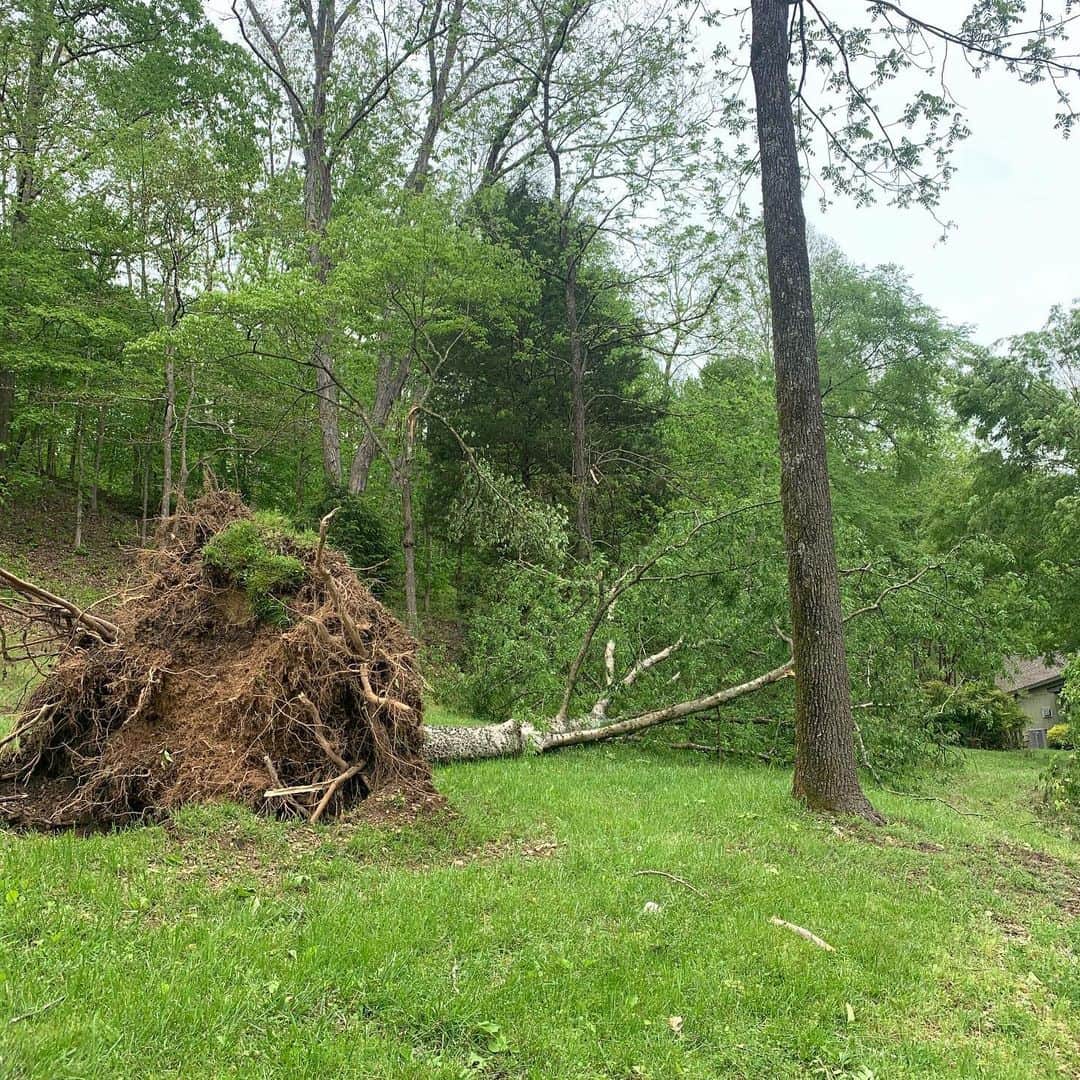 ミランダ・ランバートさんのインスタグラム写真 - (ミランダ・ランバートInstagram)「The storms that came through TN this weekend took a toll on our farm. So very thankful no one was hurt Including animals and structures. A ton of huge old trees just uprooted and snapped in half. I know, like us, a lot of folks in Nashville and surrounding area’s don’t have power.  I think that’s the lesson , for me anyway. God keeps reminding us who’s in charge. 💙」5月6日 1時31分 - mirandalambert