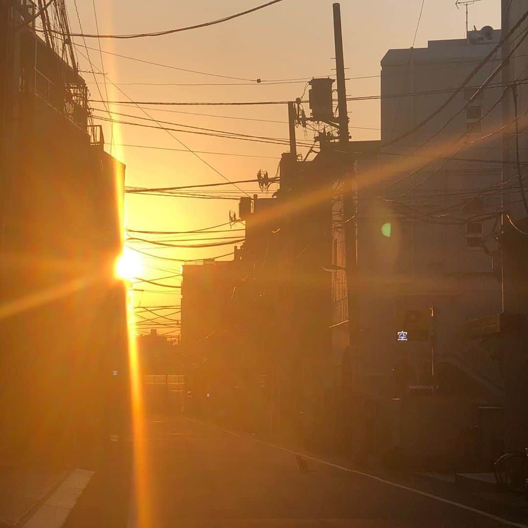久保ミツロウのインスタグラム：「人と会わない時間に外出たら猫と出会った。」