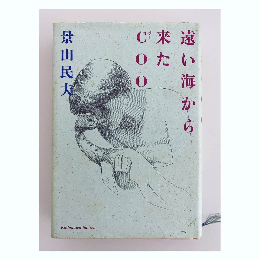 望月理恵さんのインスタグラム写真 - (望月理恵Instagram)「ブックカバーチャレンジ DAY3  景山民夫「遠い海から来たCOO」  高校1年か2年の時に読み、 号泣した一冊です。 私の想像力を拡げてくれました！ ありがとう！！ 本は高校生の時に買ったもの。 断捨離するたびに、生き残る1冊です。  #ブックカバーチャレンジ #景山民夫 #遠い海から来たCOO 「読書文化の普及に貢献するチャレンジ 1日1冊、7日間投稿する」 昨日の地震、怖かったですね、、、 飛び起きました、、 何もないことを祈ります。」5月6日 8時10分 - mochiee28