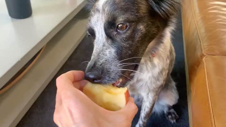 キャサリン・メーニッヒのインスタグラム：「Sound on 🔊 (No seeds are ever ingested)」