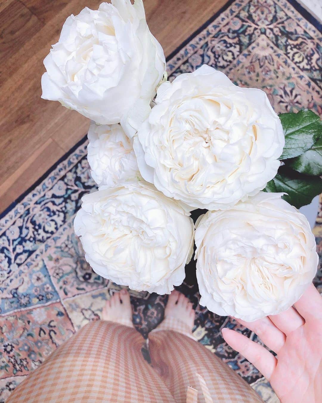 山脇道子のインスタグラム：「オンラインフラワーショップ  @fromsomewhereflowers .  みっこちゃん @mikko1104 が  セレクトしてくれた  大ぶりで真っ白な可愛いバラが今朝届いた🕊✨. .  今までみたいにお花屋さんへ行けないから  こうして届けてもらえるのは  すごく嬉しい😊  自宅にも、会えない友達や家族への  贈り物にもいいね💘」
