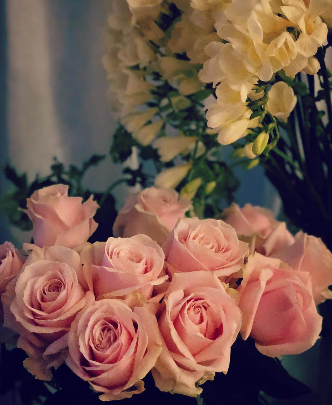 辻直子さんのインスタグラム写真 - (辻直子Instagram)「#rose#freesia#flowers #rose @fromsomewhereflowers  #なんでこんなにすきなんだろ#そういうのあります#生けるときは真剣で爽快なんです🌹#まどを少しあけて#雨の音もいいですね  飾ったあとが1番すきなんです。  目があった時の佇まいがみんな違うから  花の種類とかじゃなくてきっとみんな個なんだと思います  今日のバラはふんわり漂いながら色気もあるんです  そういうの好きです♡」5月6日 18時42分 - naoko.ts