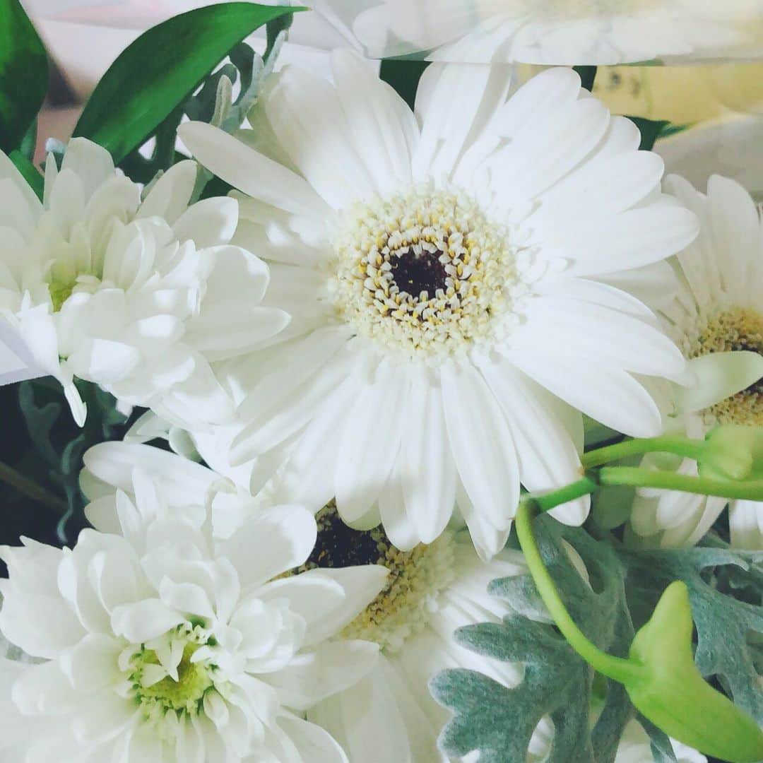 平井喜美さんのインスタグラム写真 - (平井喜美Instagram)「💐﻿ ﻿ みんなで集まれなかったのは、とても残念だけど﻿ それぞれの場所から♡﻿ ﻿ #biglove #instagood  #bouquet #flower」5月6日 11時09分 - yoshimi1111