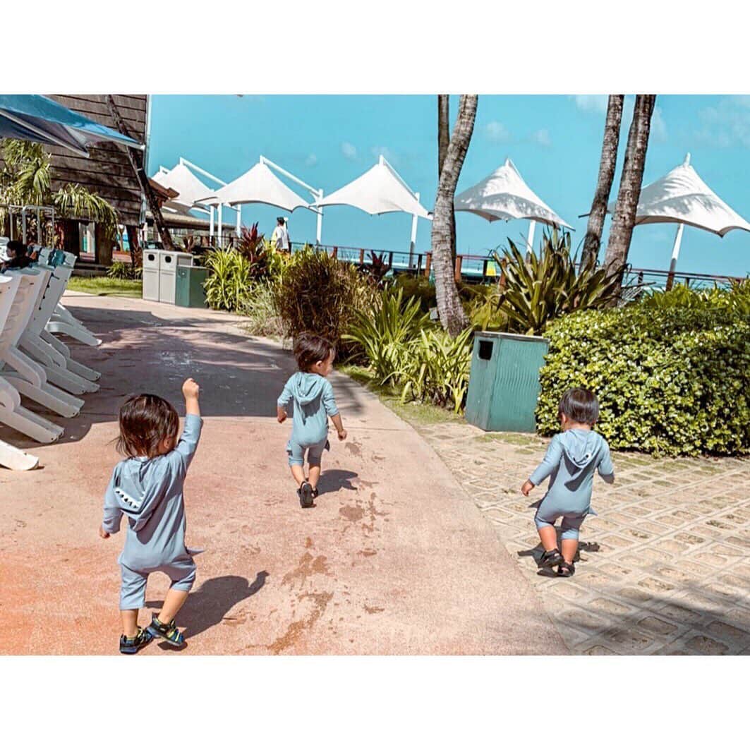 星野加奈さんのインスタグラム写真 - (星野加奈Instagram)「・ ・ 可愛いベビーシャーク達🦈🦈🦈 ・ 落ち着いたらまたどっか行きたいね🌴 ・ ・ ずっとアップできずにいた写真❤️ ・ ・ #babyshark #guamtrip #haneypresets」5月6日 12時14分 - kanahoshino0228