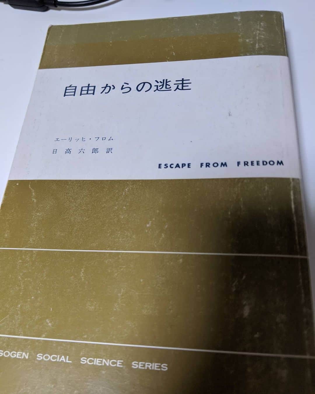為末大のインスタグラム：「自由からの逃走　#自由」