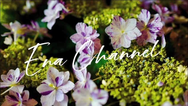 松本恵奈さんのインスタグラム写真 - (松本恵奈Instagram)「YouTube「EnaChannel」を新しく更新しました！  今回はインテリア編⚪️ .  お家時間が増えたのでもっと心地よい空間をつくりたいな、と思いお花の宅配をお願いしたんだ◎ .  私がいつもお願いしているお花屋さんの紹介もしているので是非、みてみてね！  #YouTube #EnaChannel #interior #irotoiro #enahhouse」5月6日 13時09分 - ena1123