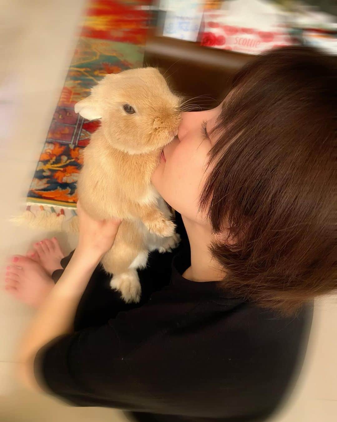 里美ゆりあのインスタグラム：「Good  morning ꒰◍ᐡᐤᐡ◍꒱ #stayhome  #gw #ネザーランドドワーフ #男の子ママ」