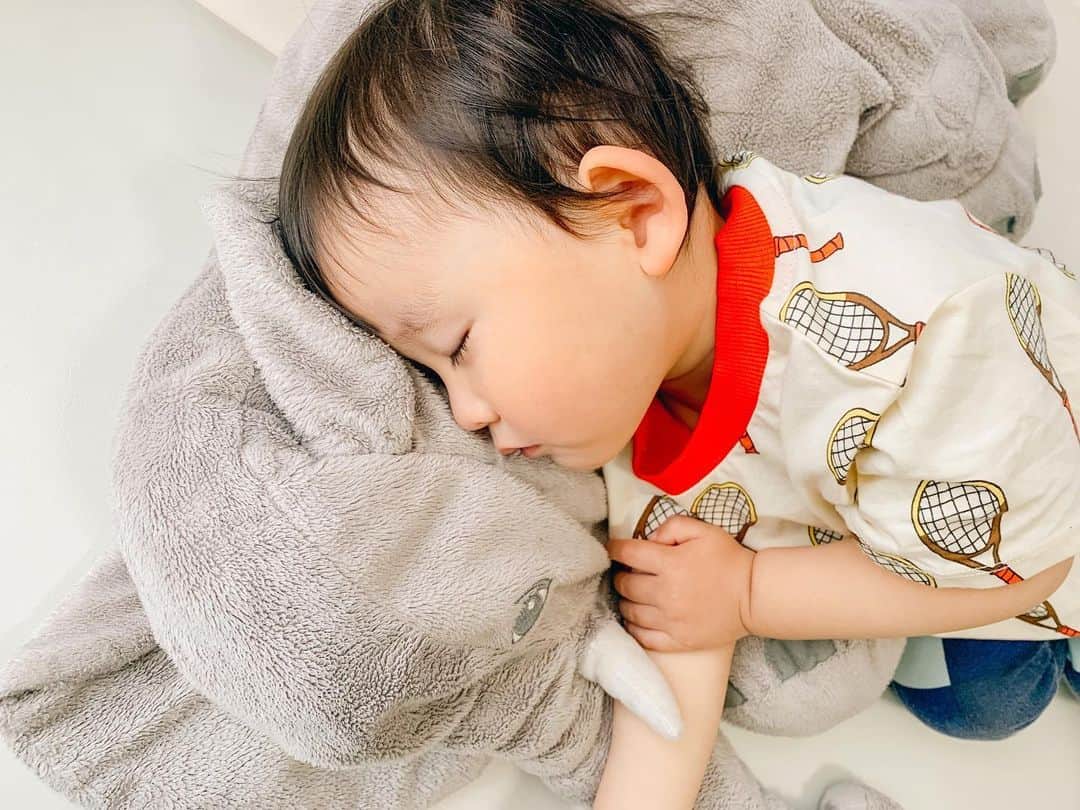 ᴋᴀɴᴀᴋöさんのインスタグラム写真 - (ᴋᴀɴᴀᴋöInstagram)「気持ちよさそうにお昼寝中🐘💘👶🏻💤 * * ベイビーショップで、バースデーSALEが 開催中❤️ (5/5〜5/12 AM6:59まで⏳) 日本語サイトだから、海外ブランドも日本語で買えるので安心🎵 * 👶🏻のTシャツも @babyshop ( @mini_rodini )🏸🎾💘 かわいいアイテムが盛り沢山だよ😍🌈✨ * https://jp.babyshop.com/babyshop-birthday/s/1337 * #babyshop#ベイビーショップ #ベイビーショップバースデーセール#minirodini#お昼寝#寝顔#2歳0ヶ月」5月6日 14時02分 - kanakokko_34_