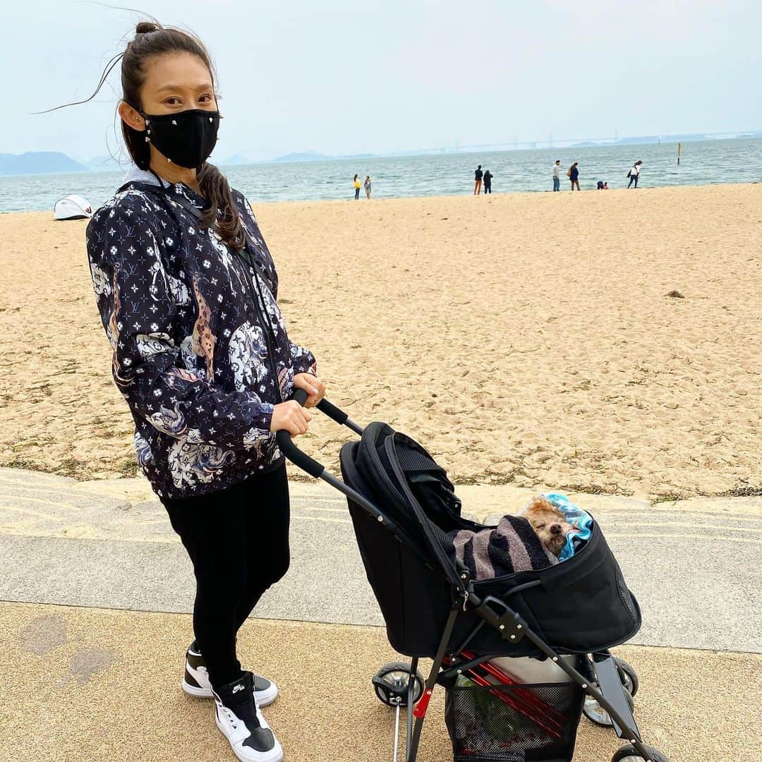 DJ JUICYのインスタグラム：「昨年からずーっと、暖かくなったらジューシーくんと海に行こう‼️って考えてたから🐩🚶‍♀🌊️🧡 1カ月半以上自粛して、ちゃんとお家にいたんだけど... この日は少しだけ外出しました🙏ごめんね🙇‍♀️ 親戚familyと一緒に🐩🐩🐩💕 ジューシーくんは、海に着いた途端に風が気持ち良かったのか、ぐーぐーイビキをかいてずっと寝ていました😅🖤 最後にみんなでお出かけ出来て良かった☺️💖✨ #toypoodle#toypoodlegram#juicykun#ジューシー14歳#瀬戸大橋」