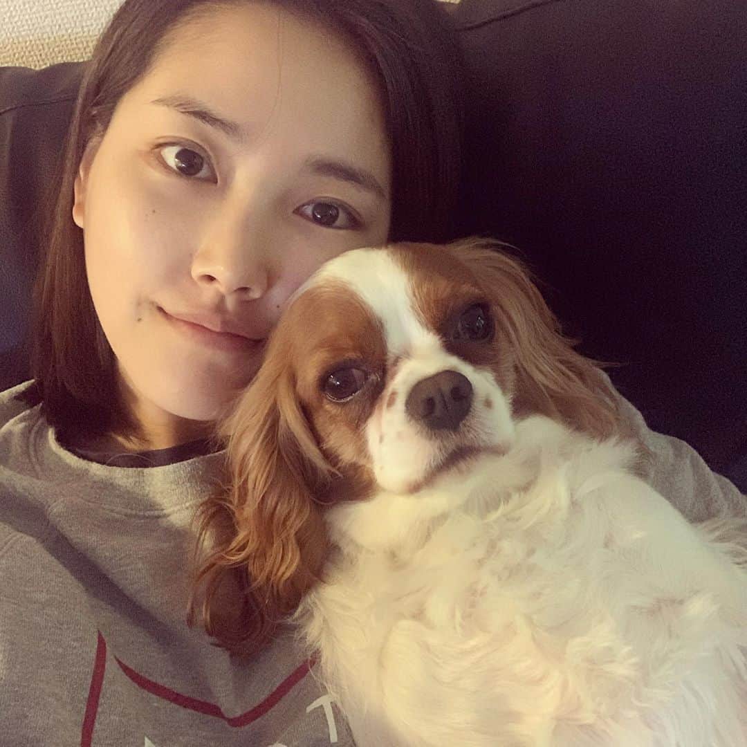 のインスタグラム：「今日21:00にYouTubeアップします🐾🐾」