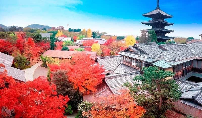 THE SODOH OFFICIALのグルメインスタ