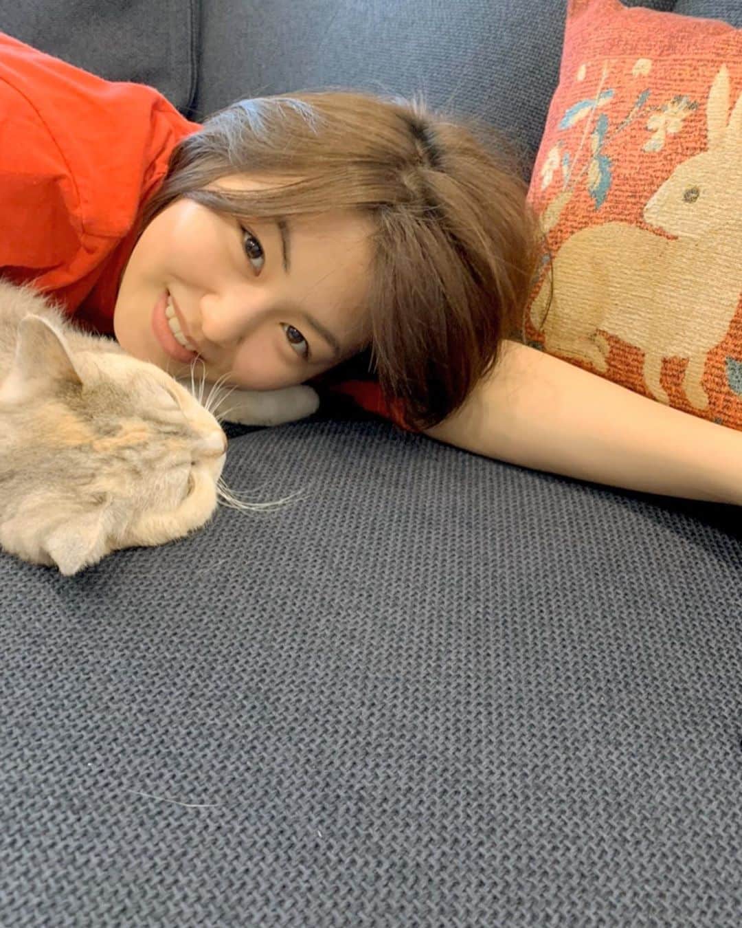 のインスタグラム：「🐈🐾…💛 . . 皆さんこんにちは！ ぴょんちゃん(まるの先輩猫)と一緒にまったり…☺️ . . 実はぴょんちゃんは1年ちょっと前に骨肉腫という癌で右の前足を切りました。 でも、三本足でも元気いっぱいのぴょんちゃんです😸 . ぴょんちゃんはまるのInstagramにたまに出てきます📣✨ 皆さん、そんなぴょんちゃんを応援、よろしくお願いします！🤗 . . #頑張れぴょんちゃん#sweetpoweranimal#まったりんご#🍎🍏#😸💖#😽💛」