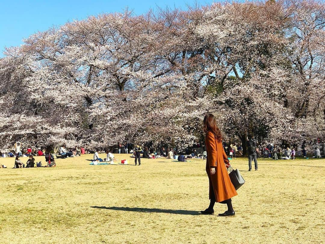 Mai Yamadaさんのインスタグラム写真 - (Mai YamadaInstagram)「当たり前にあったことの大切さに、なくなって初めて気付くってよく言うけれど、こんなにも痛感したことはないと思う。 . 仕事に行くこと、みんなで居酒屋で他愛もない話をして笑い合えること、映画館で感動できること… . でも、どんなに辛くても苦しくても、終わりはきっと来る。 その先には、今とは違う新しい何かがきっとある、いや、つくり出せる。 そう信じて、今は堪える。刃を磨く。 もう少し頑張ろう(^^) . 「胸を張って生きろ 己の弱さや不甲斐なさにどれだけ打ちのめされようと 心を燃やせ 歯を食いしばって前を向け」 さて、これは#鬼滅の刃 で誰が言った言葉でしょーか？ . 私はまだ心を燃やすことができないので、とりあえず歯を食いしばります！🦷 . #突然クイズ#突然すぎる 写真がまた#季節外れすぎる #去年のお花見 #ここの桜が1番好き #コロナに負けるな #GW最終日 #おうち時間 #stayhome #MC#山田真以　 #パラレルキャリア#フリーランス#パラレルワーカー#ノマドワーカー#働く女性#ワークライフバランス#リモートワーク#parallelcareer#freelance#nomadlife#nomadworker#businesswoman#work#worklifebalance#selfie#aimhigh」5月6日 15時22分 - yamadamai_719