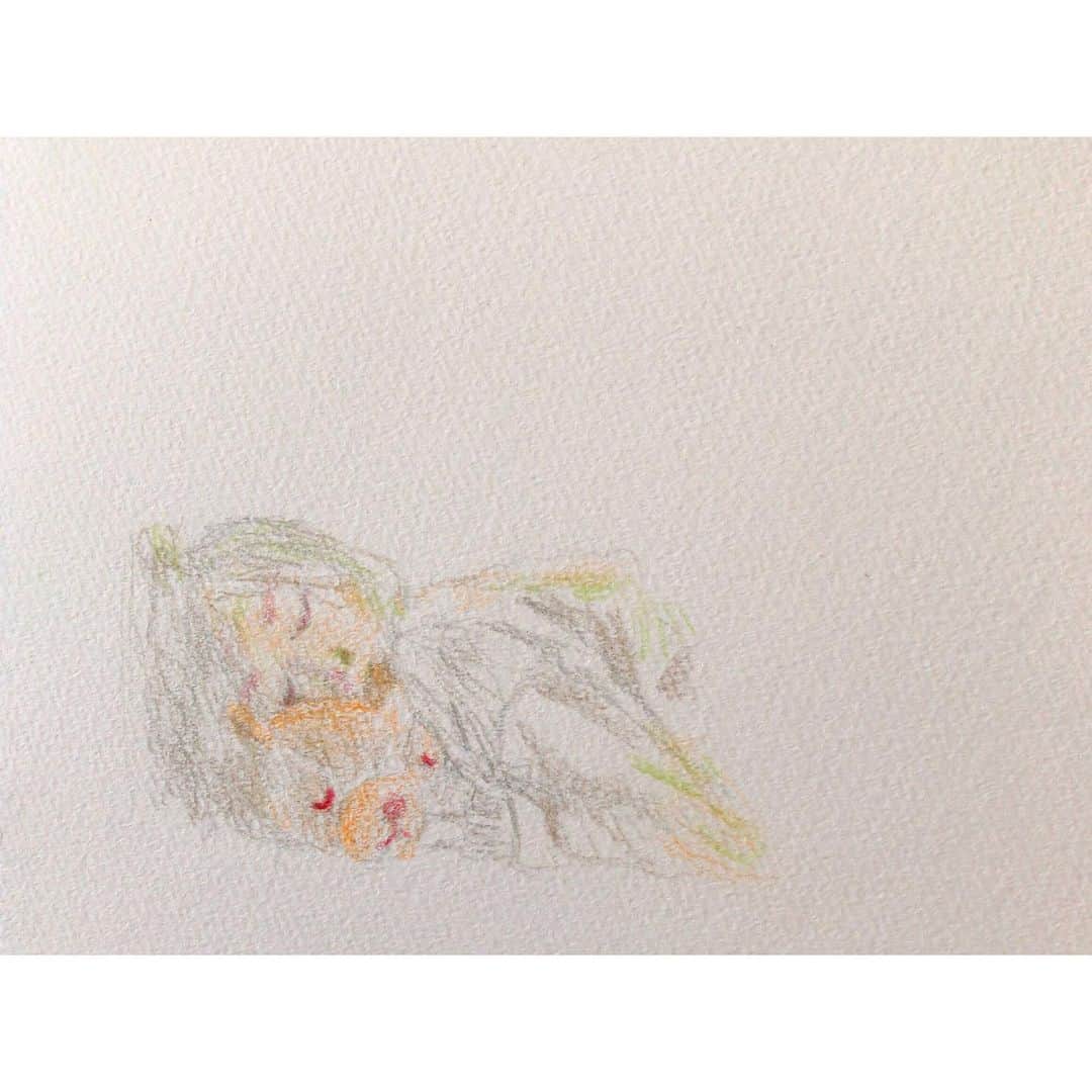 中田絢千さんのインスタグラム写真 - (中田絢千Instagram)「連日の緊急地震速報 毎度、胸がざわついてしまう。うたたねしたい。  #にゃん色えんぴつ 5色。」5月6日 15時47分 - ayaka_nakata