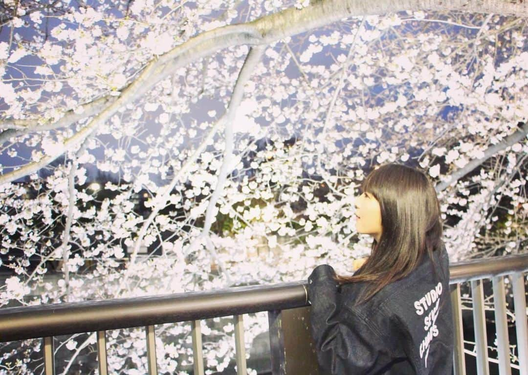 服部彩香さんのインスタグラム写真 - (服部彩香Instagram)「去年の夜桜🌸 . #桜 #🌸 #フリーモデル #フリーランス #被写体 #撮影会 #リク撮 #グラドル #グラビア  #くびれスト #被写体 #撮影会 #撮影依頼 #仕事依頼 #ポートレート #ポートレートモデル #野外撮影  #あやかまる #服部彩香 #笑顔 #smile #shotting  #portrait #japanesegirl  #cute #kawaii  #followme  #写真好きな人と繋がりたい #カメラ好きな人と繋がりたい」5月6日 15時51分 - ayasyan1112