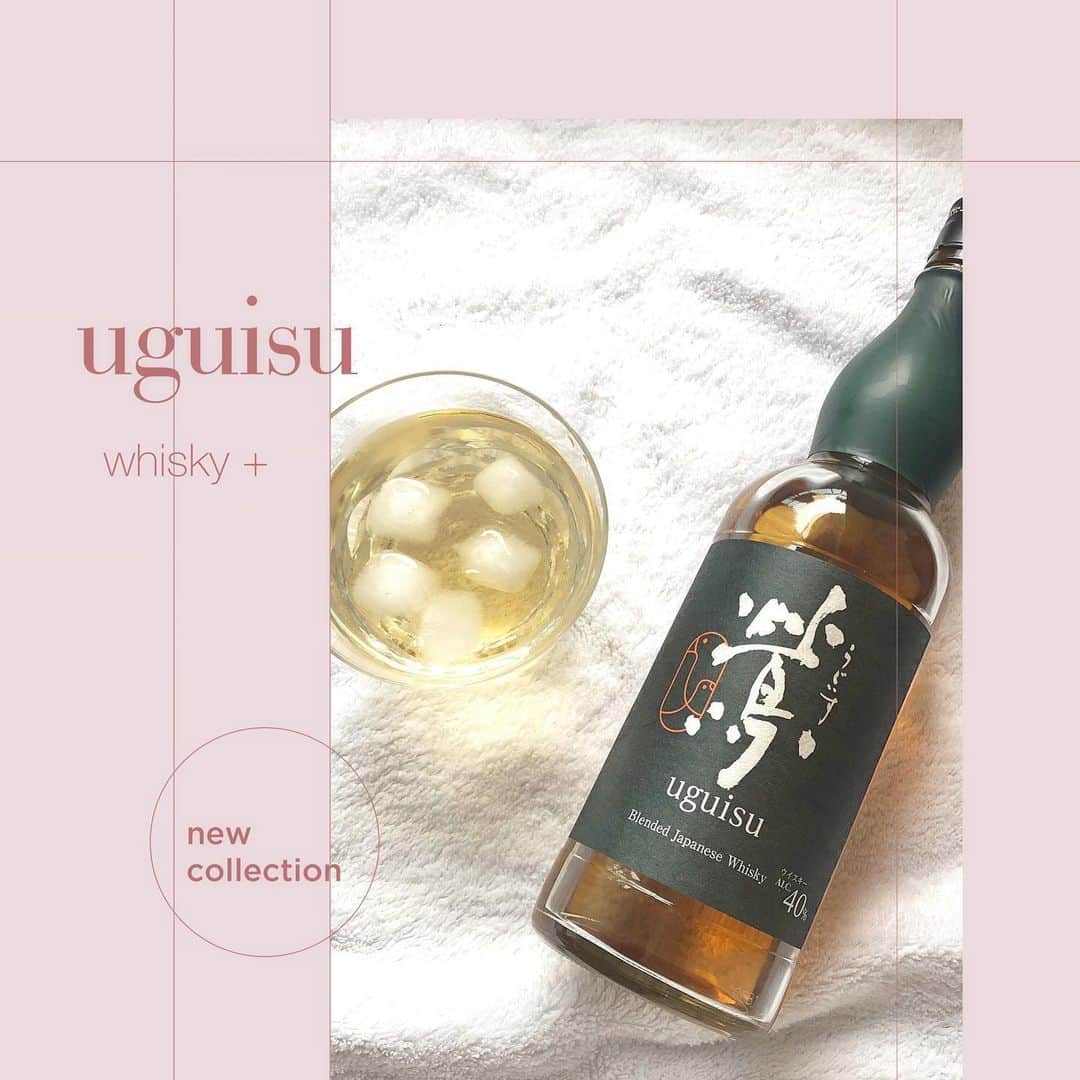菊池かなこのインスタグラム：「. 家でお酒はあまり飲まないけど、 たまに来客があった時とか 寝る前とかに飲みます⌣̈⃝ . @uguisu_whisky 🥃 . 鶯のウイスキーは すっきりしていて飲みやすかったので、 ウイスキー初心者の方にもおすすめ✨ . あと私のおすすめは ウイスキー×ミルクティー！ ミルクティーに数滴垂らすと、 香りが芳醇で一気に大人の飲み物に😍 カルアミルクとかベリーズミルクとかが 好きな方にはおすすめ❤︎ . オンラインショップでも購入出来ます⌣̈⃝ . . 這是我推薦的威士忌🥃 很好喝 . . ୨୧┈┈┈┈┈┈┈┈┈┈┈┈┈┈┈┈┈୨୧ #鶯ウイスキー#鶯ハイボール #ウイスキー#ウイスキー女子#宅飲み #おうち飲み#カクテルレシピ」