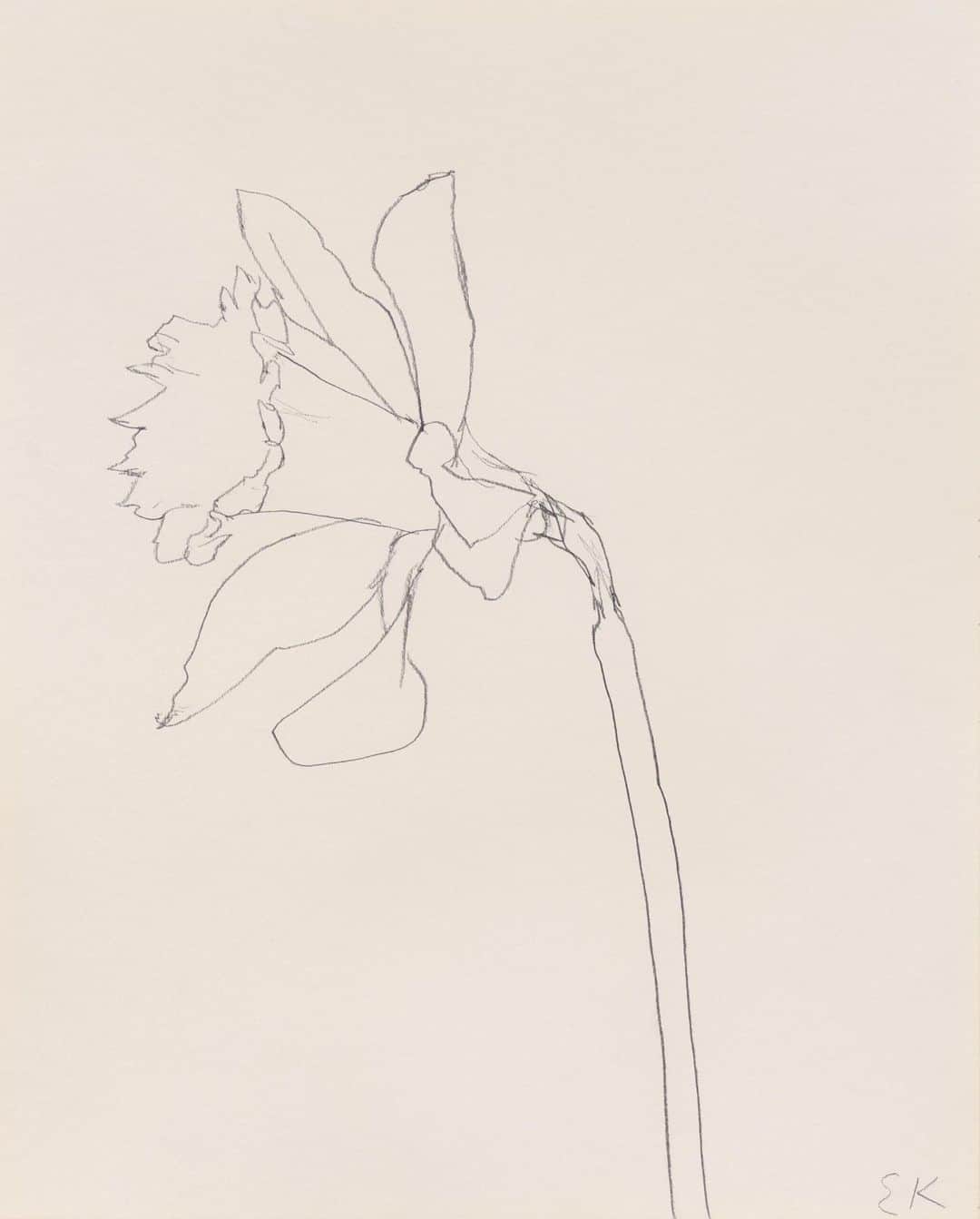 ルパートサンダーソンさんのインスタグラム写真 - (ルパートサンダーソンInstagram)「‘Daffodil’ by Ellsworth Kelly, 1979-80 | Have you discovered the Journal on our website? | #Art #Inspiration #Daffodils #EllsworthKelly」5月6日 16時51分 - rupertsanderson