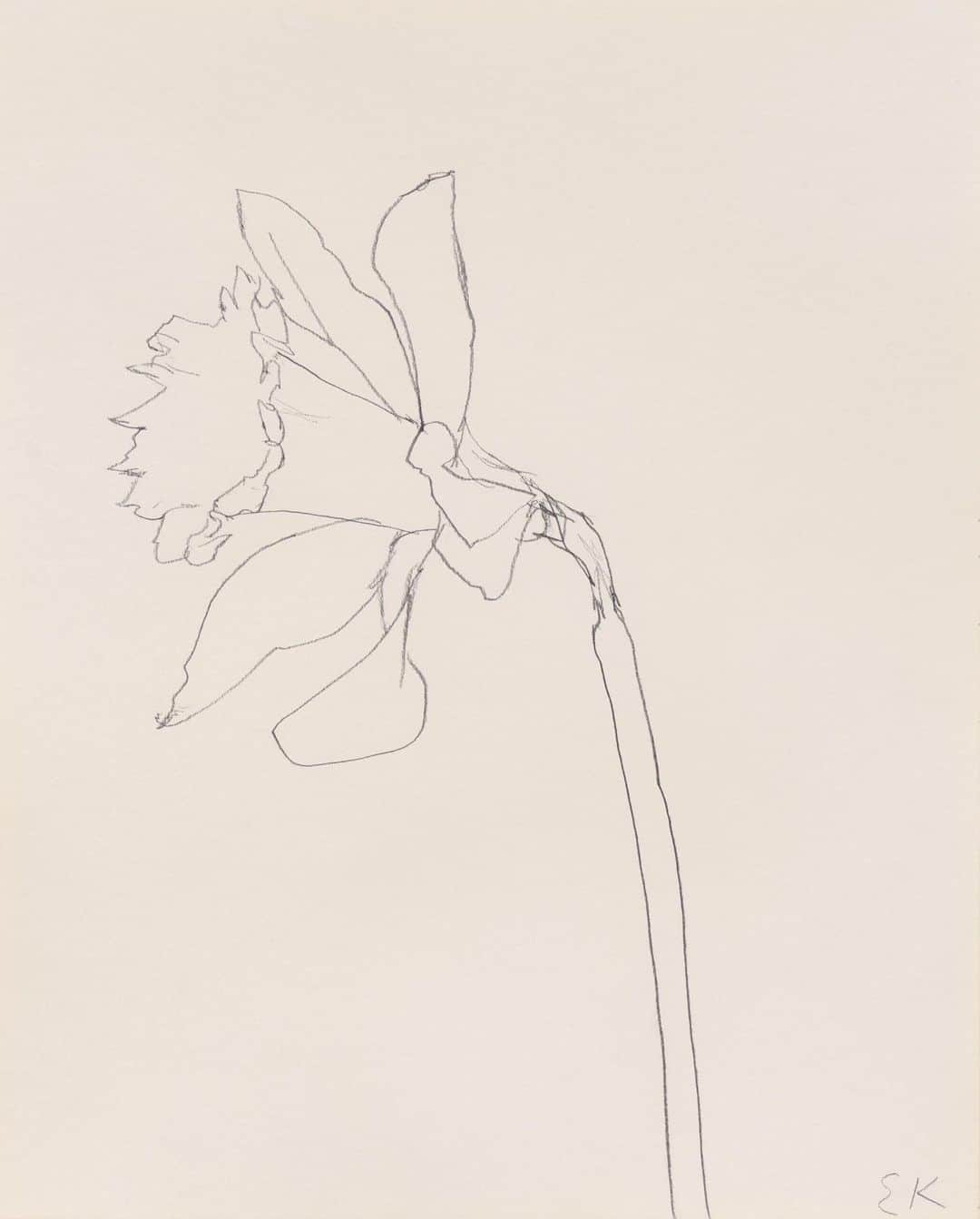 ルパートサンダーソンのインスタグラム：「‘Daffodil’ by Ellsworth Kelly, 1979-80 | Have you discovered the Journal on our website? | #Art #Inspiration #Daffodils #EllsworthKelly」