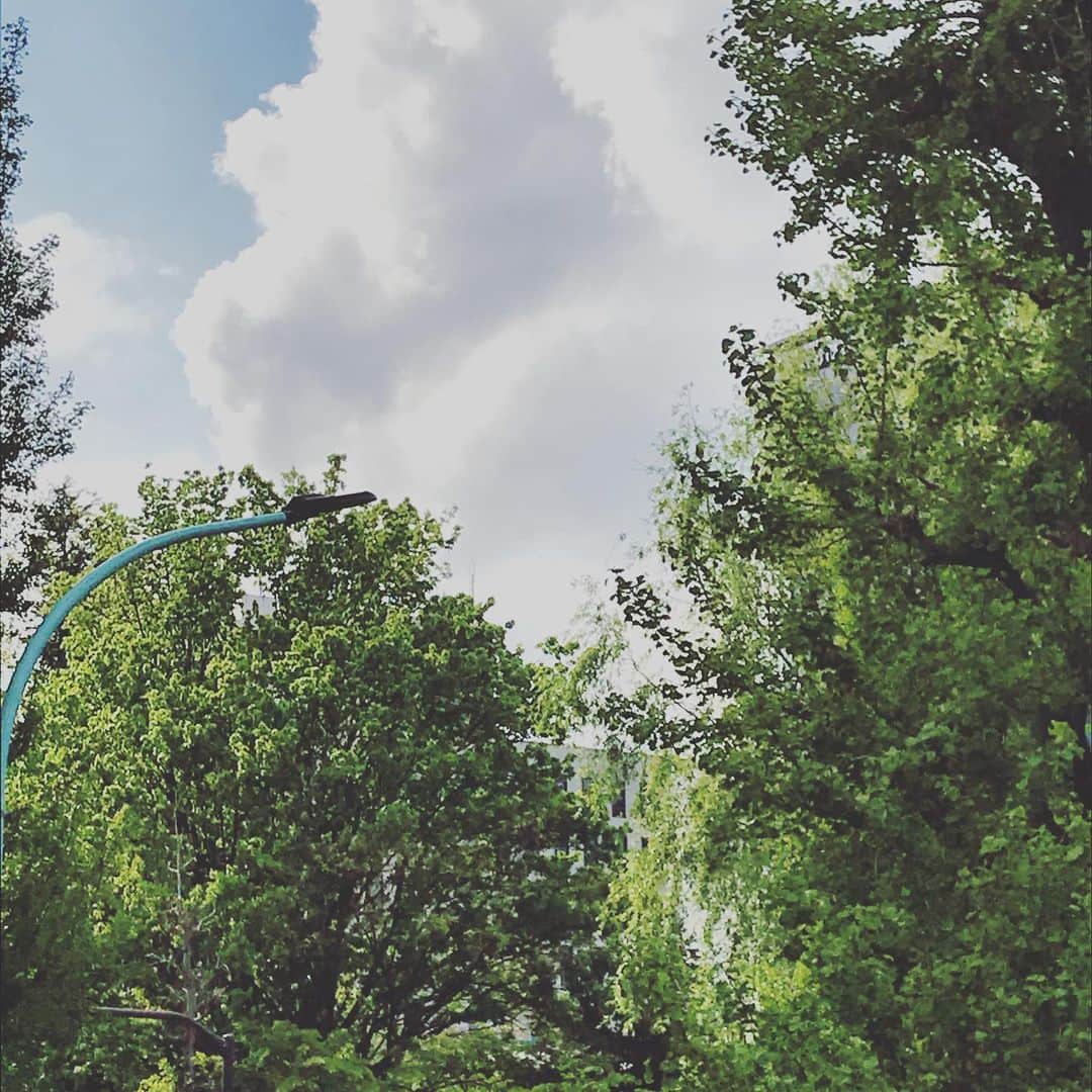 Pho 321 Noodle barのグルメインスタ