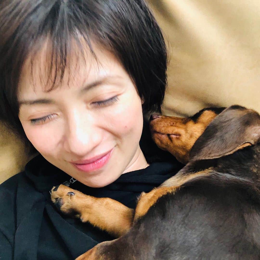 フジテレビアナウンサーのインスタグラム：「・ 日曜の番組終わりは👆陽だまりでつい居眠り…気持ちが良い季節☘ですね。梅津です。 保護施設からやってきた兄弟🐶🐶のおかげで賑やかな我が家。日々トイレトレーニングに励んでいます。  カズぱぱからの『やってよかった子育ての方法』というオーダー🤔偉そうなことは言えないのですが、”どんどん手伝いをさせること”←コレはやってよかったです。 小さい頃から、とにかく何でも、じゃんじゃんやらせました。包丁も針もアイロンも、うちの子は勝手に使います。というか、もはや子どもたちが戦力💪です。  ランチに息子はラーメンを、娘はオムライスを作ってくれました。私は食べるだけ😋 娘が手作りおやつ作りにハマってます。私は食べるだけ😋 来週の日曜の母の日は晩ごはんを作ってくれるらしいです。もちろん、私は食べるだけ😋（もちろん🍺も❣️） ・ ・ 🐶🐶のため、娘が要らないタオルをちくちく縫ったのは…（💤動画アリ）  ママよりずっと上手い‼️←コレを連呼してます😁 パパママの苦手な家事の担い手になるかもしれませんよ🎵  次は元ご近所の青嶋先輩にお願いします🙋‍♀️ 運動不足解消法を教えてください❗️ ・ ・ #梅津弥英子 #フジテレビアナウンサー #フジアナむすび　🍙」