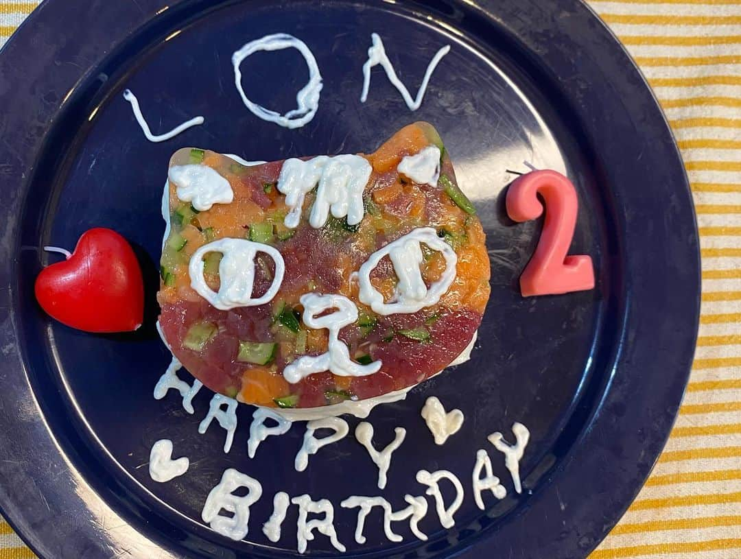 木下ゆうかさんのインスタグラム写真 - (木下ゆうかInstagram)「Lon Happy Birthday !!! #おうち時間  #猫ごはん  #猫ケーキ #happybirthday  #lon  #ロンスタ  #melonstagram #アメリカンカール  #cat #catstagram  #ろん #瓏 #珑 #lon #ろんすた」5月6日 17時44分 - yuka_kinoshita_0204