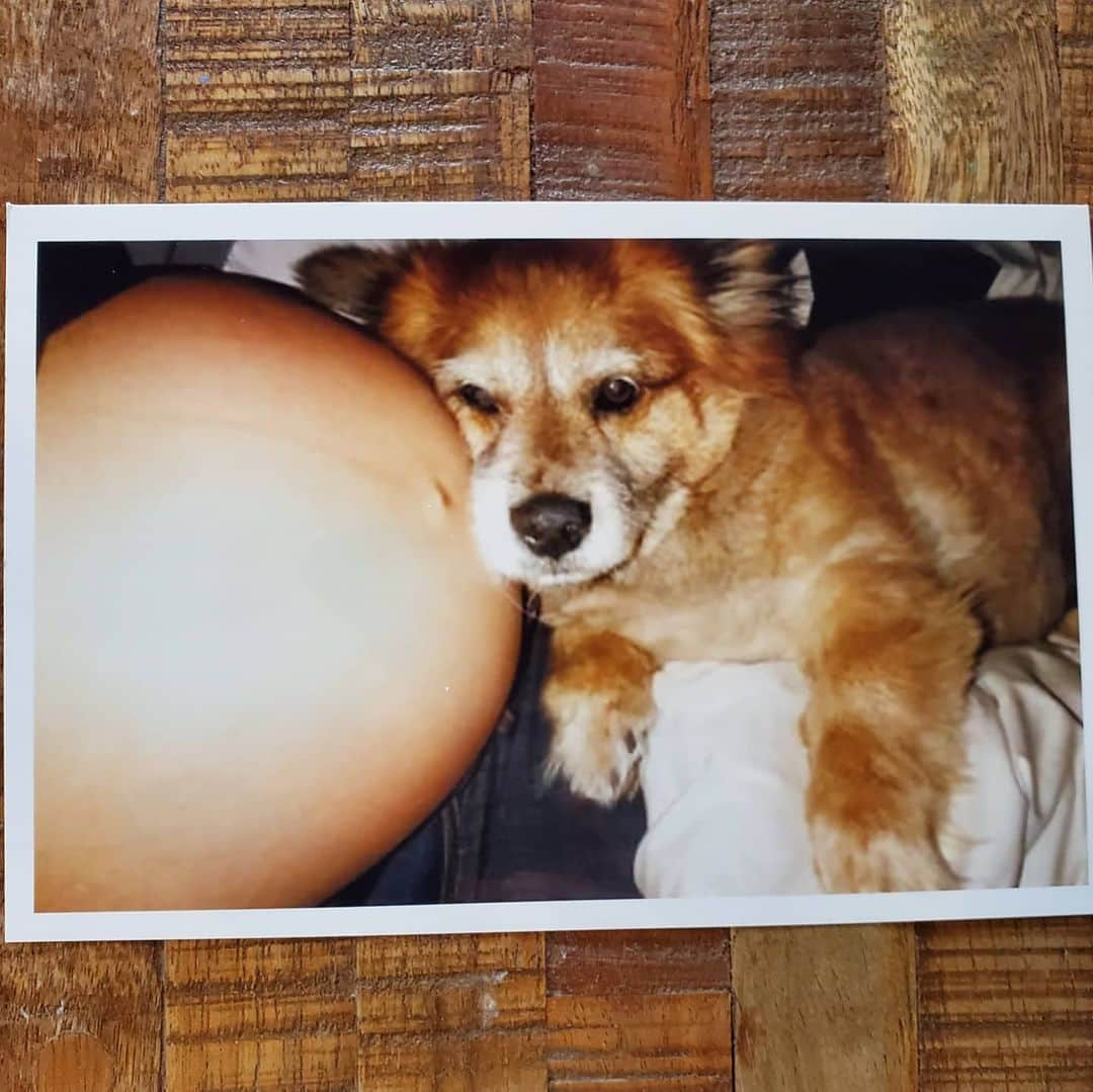 クリスティン・ベルさんのインスタグラム写真 - (クリスティン・ベルInstagram)「Lola loves babies- even in my belly 💜💜💜」5月7日 4時01分 - kristenanniebell