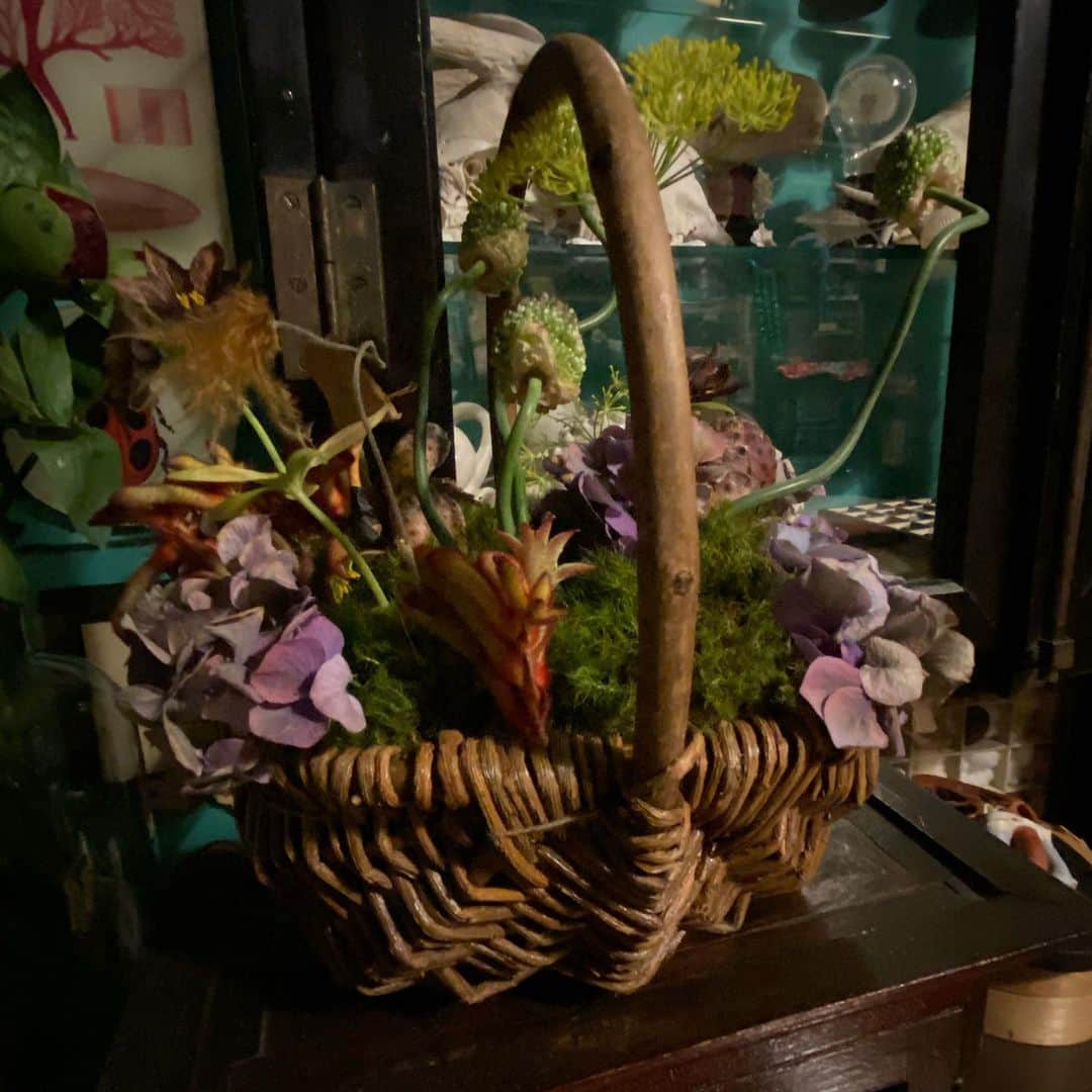 ヒグチユウコさんのインスタグラム写真 - (ヒグチユウコInstagram)「仕事場にお花。 早く咲かないかな。 籐籠のほうは毎月届くアレンジメントをたのんでいる　@haiiro0okami です。郵送もできるようなのでオススメ。 写真綺麗に撮れなかったのですが実際はもっと素敵です。苔がすごくいい。 (色調補正してません。単に部屋が薄暗いだけ)」5月6日 19時54分 - yukohiguchi3