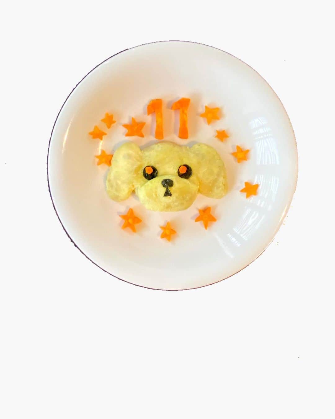 福井仁美さんのインスタグラム写真 - (福井仁美Instagram)「Happy birthday DOWNNY🐾 ────────────────────── ダウニー11歳。 もうすっかりおじいちゃん。 だけどずーっとベビーフェイスなダウは本当に赤ちゃんみたいにかわいいのです❤️ いつもいつも一緒にいてくれてありがとう。あいしてる とにかく健康で長生きしてね。 お願いはもうそれだけ。 ・ はじめて手作りケーキを作ったら飛び跳ねて喜んで食べてくれて嬉しい❤️ ・ #dog #poodle #toypoodle #love #トイプードル #手作り犬ケーキ #誕生日 #birthday #今日のダウニー」5月6日 19時58分 - hitton28