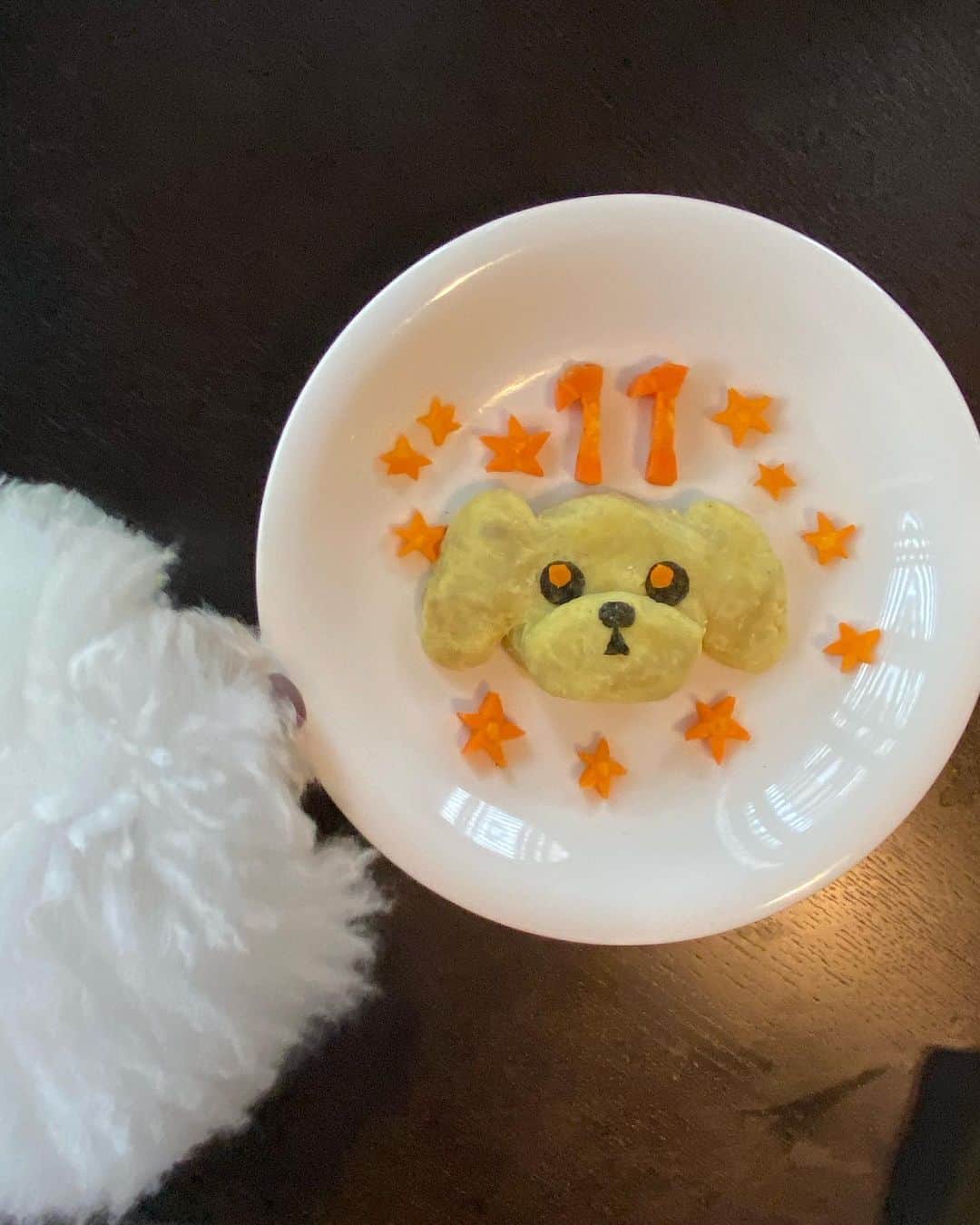 福井仁美さんのインスタグラム写真 - (福井仁美Instagram)「Happy birthday DOWNNY🐾 ────────────────────── ダウニー11歳。 もうすっかりおじいちゃん。 だけどずーっとベビーフェイスなダウは本当に赤ちゃんみたいにかわいいのです❤️ いつもいつも一緒にいてくれてありがとう。あいしてる とにかく健康で長生きしてね。 お願いはもうそれだけ。 ・ はじめて手作りケーキを作ったら飛び跳ねて喜んで食べてくれて嬉しい❤️ ・ #dog #poodle #toypoodle #love #トイプードル #手作り犬ケーキ #誕生日 #birthday #今日のダウニー」5月6日 19時58分 - hitton28