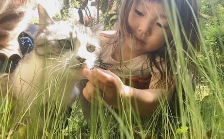 のインスタグラム：「サバ美生誕祭引き続き。 先日またお庭でブラッシングしたときの動画より、ベストカットいくつか。 #cat #サバ美 #サバ美となまこちゃん #今日のなまこちゃん  #4歳9ヶ月」