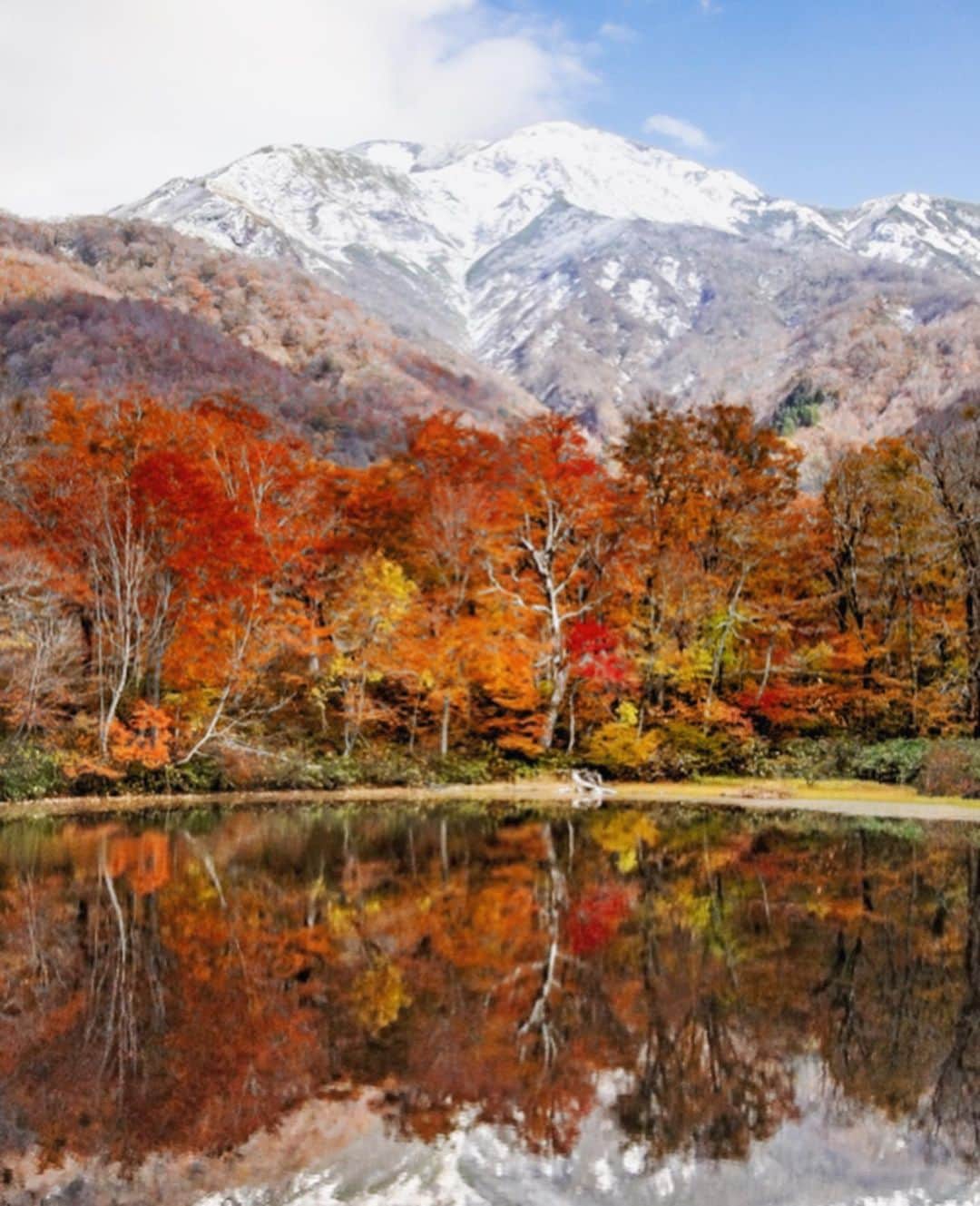 kyoko_zzzのインスタグラム：「Luxury reflection  #karikomipond #reflectionphotography #刈込池」