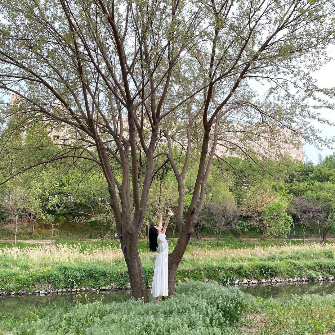 ミナ さんのインスタグラム写真 - (ミナ Instagram)「🌿🌿🌿🌿🌿 - 초록 속으로 잠시 도피」5月6日 21時45分 - blossomh_