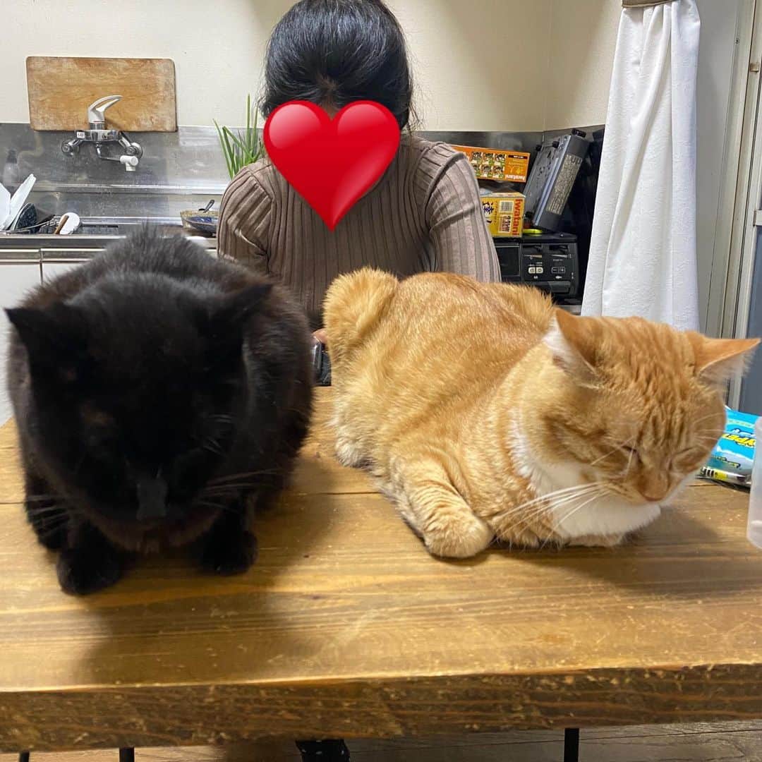 金巻ともこのインスタグラム