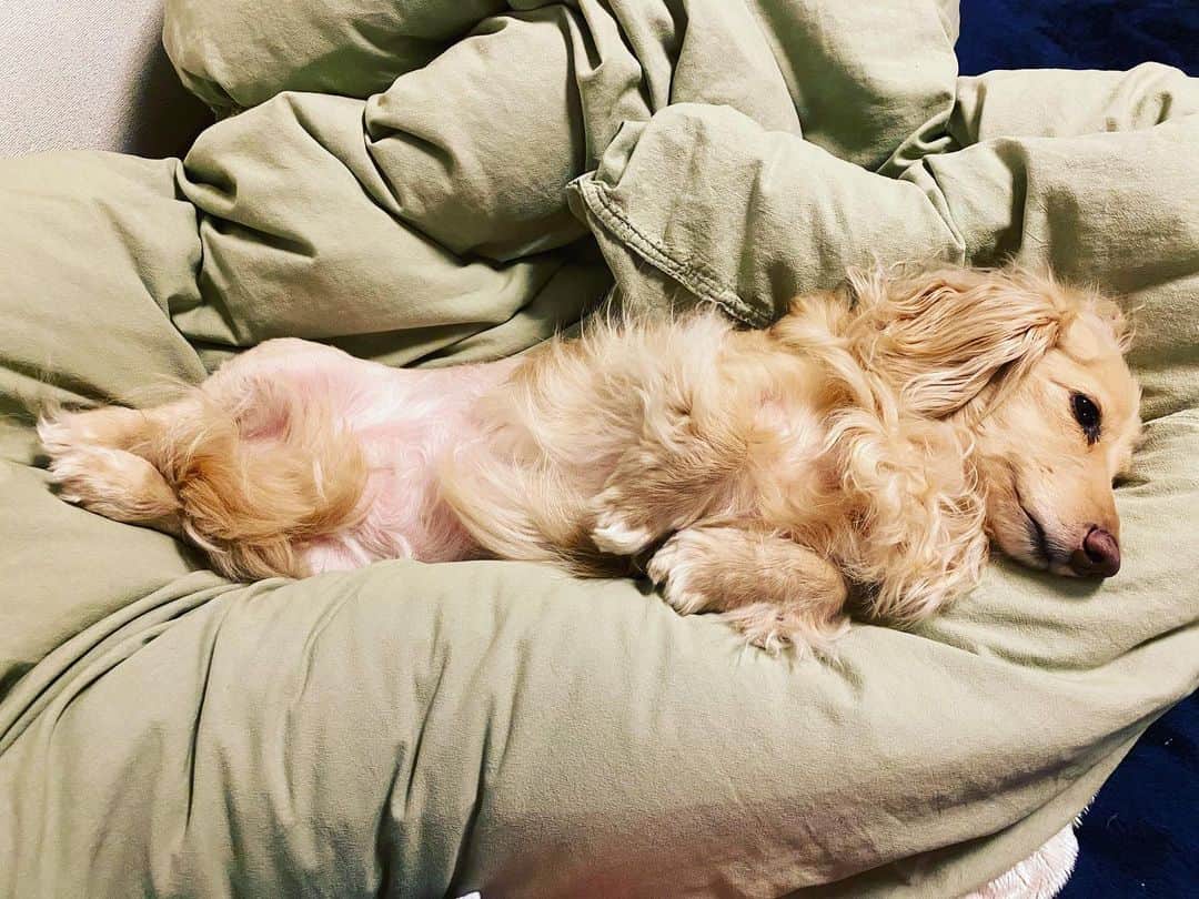 のインスタグラム：「Good night」