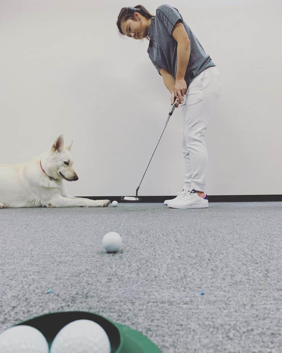 森田遥のインスタグラム：「こんな今だからこそお部屋でパターや素振り、トレーニングされてる方必見!👀🦋 部屋でも着れるadicross!!! . . 1人でも多くの方に“お部屋ゴルフ”を楽しんで欲しいという想いで、アディダス公式オンラインストアにて、5/11(月)23:59まで、#部屋でも着れるキャンペーンを開催中です！ . . 私が着用しているTシャツはメンズのSです🐶シンプルでスタイリッシュなので、女性の方でも全然着れる！オススメ💕 . . @adidasgolf @adidastokyo #部屋でも着れる #HOMETEAM #アディダスゴルフ #アディクロス#createdwithadidas #ゼロくん登場🐺 #後ろのコンセントが気になる」